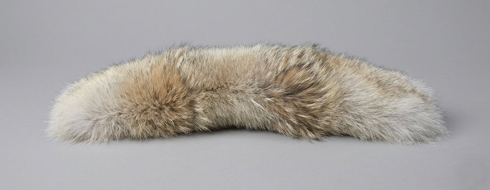 Milk-Brown Coyote Fur Trim for Canada Goose Hoods – Classic